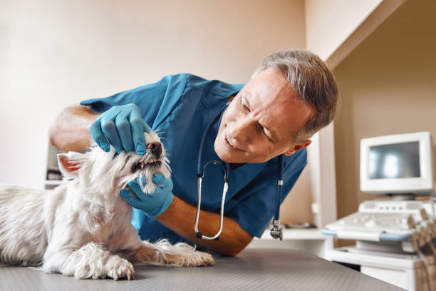 Best Pediatric Emergency Dentist in Upper Arlington, OH