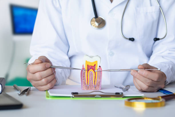 Best Emergency Dental Extractions in Upper Arlington, OH